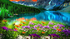 Vibrant Alpine Lake Landscape With Wildflowers And Forested Mountains HD wallpaper