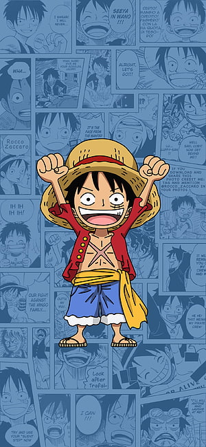 Monkey D. Luffy One Piece Anime Character Wallpaper HD phone wallpaper