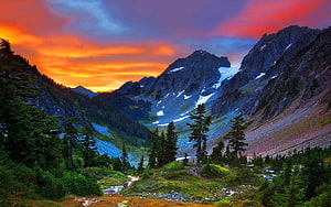 Himalayan Mountain Valley at Sunset with Snow Peaks and Pine Forest HD wallpaper