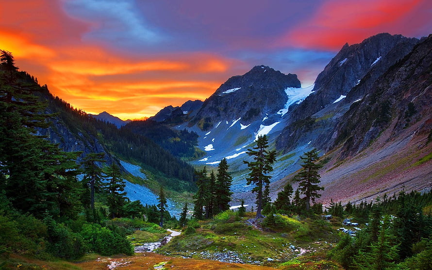 Himalayan Mountain Valley at Sunset with Snow Peaks and Pine Forest HD wallpaper
