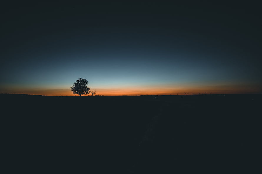 Lone Tree Silhouette Against a Dark Orange Sunset Horizon in Germany HD wallpaper