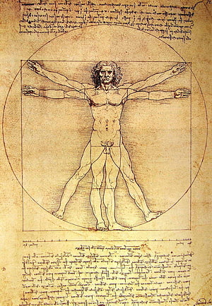 Leonardo da Vinci Vitruvian Man Renaissance Anatomical Study HD phone wallpaper