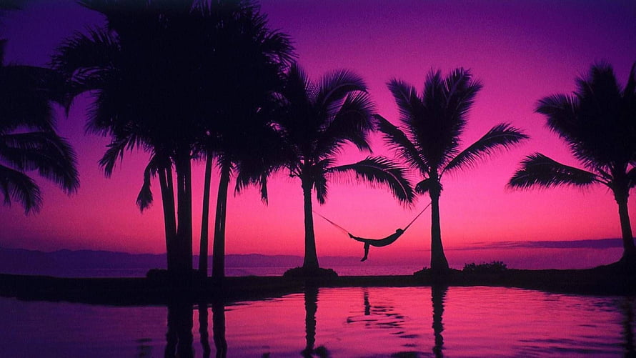 Silhouetted figure in a hammock between palm trees against a vibrant pink and purple tropical sunset sky HD wallpaper