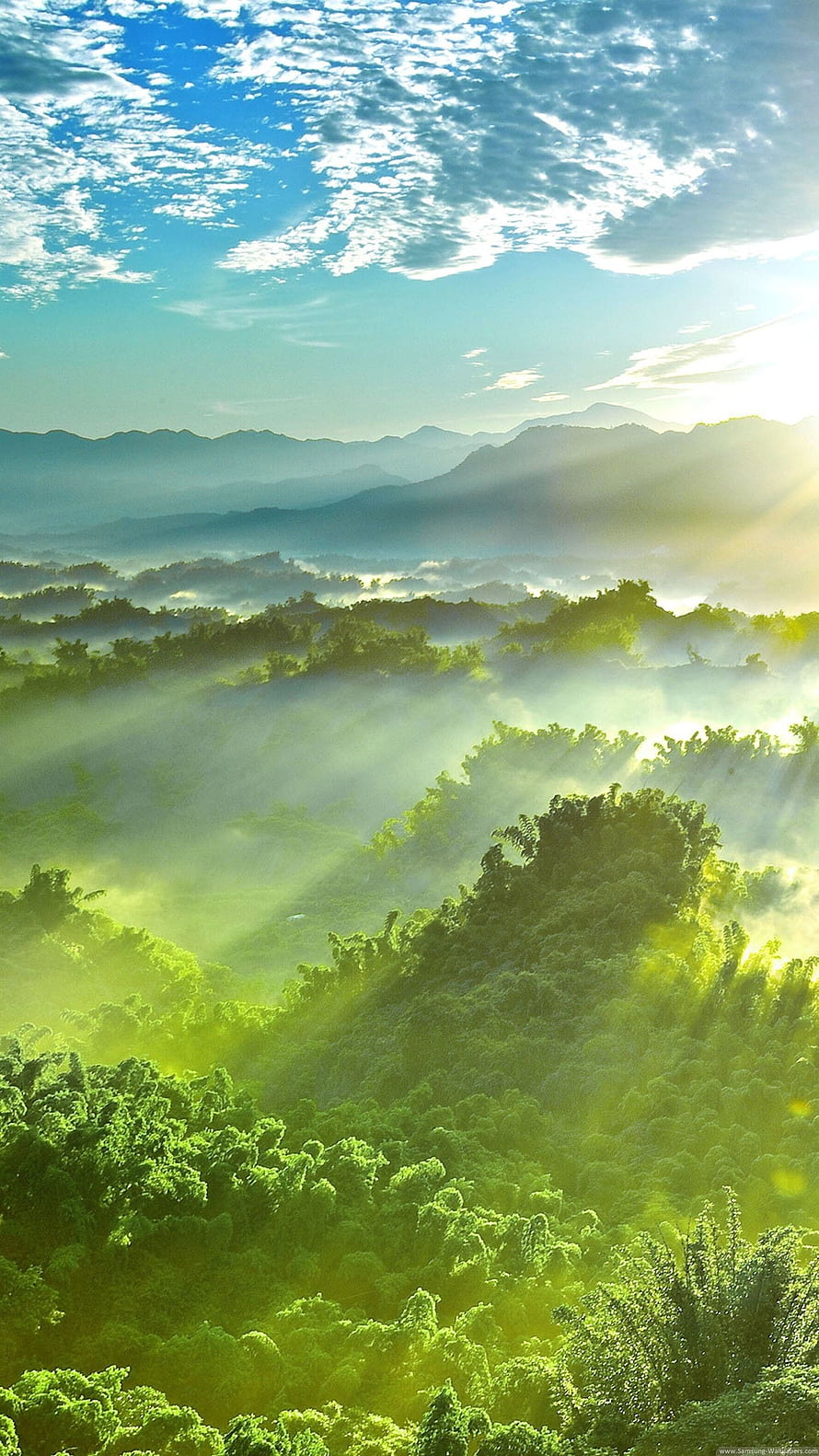 Sunlit Misty Mountain Forest Landscape with Rays of Light Breaking Through Clouds HD phone wallpaper
