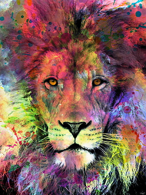 Vibrant Watercolor Lion Portrait with Multicolored Splashes and Expressive Eyes HD phone wallpaper