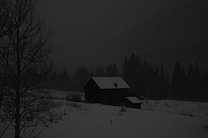 Doomer Aesthetic Dark Winter Barn in Snowy Pine Forest Landscape HD wallpaper