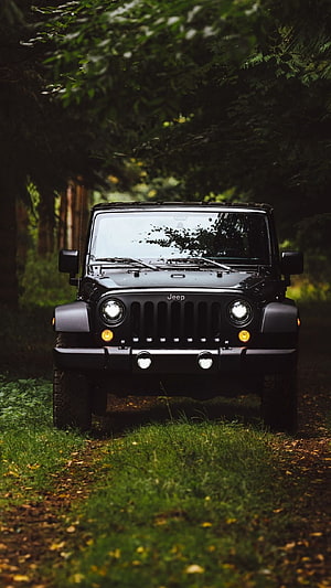 Black Jeep Wrangler parked on a forest trail with headlights on HD phone wallpaper