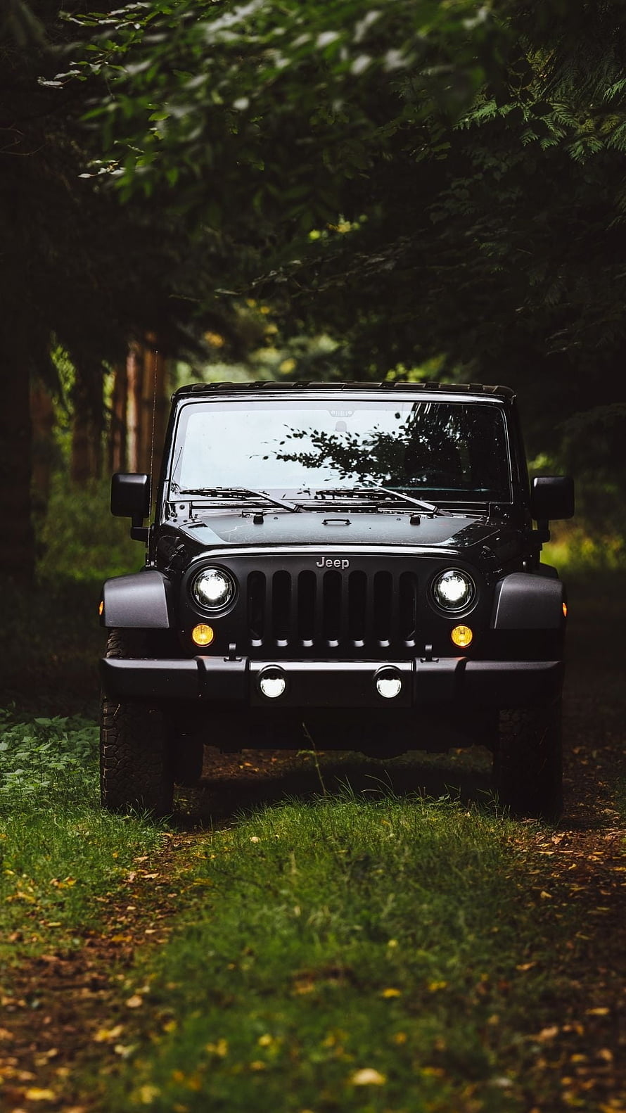 Black Jeep Wrangler parked on a forest trail with headlights on HD phone wallpaper