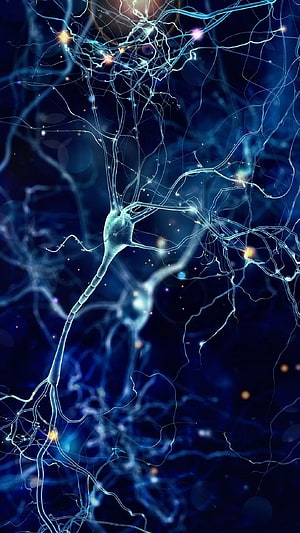 Glowing Neuron Network with Synaptic Connections in Deep Blue Digital Art HD phone wallpaper