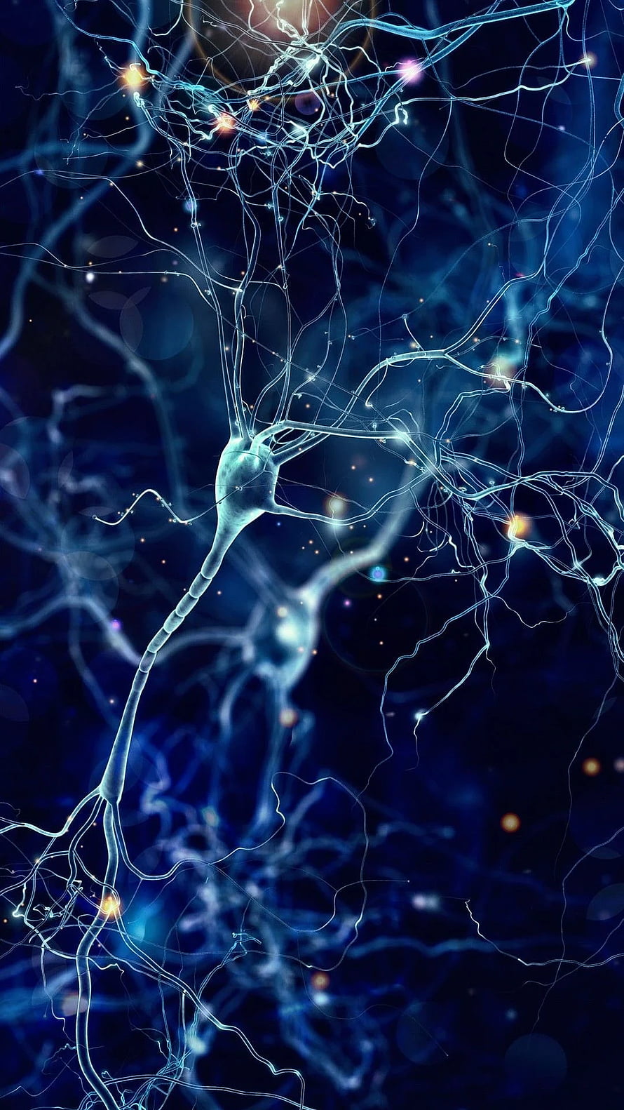 Glowing Neuron Network with Synaptic Connections in Deep Blue Digital Art HD phone wallpaper