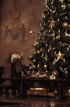 Harry Potter Christmas Tree Scene at Hogwarts with Dumbledore and Golden Ornaments HD phone wallpaper