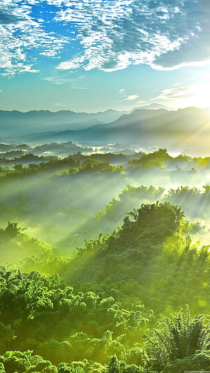 Sunlit Misty Forest Hills With Rays Breaking Through Clouds HD phone wallpaper