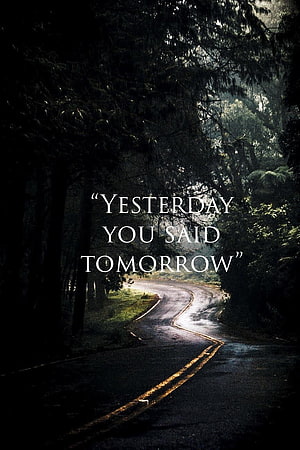 Moody Forest Road with Inspirational Quote About Time and Commitment HD phone wallpaper