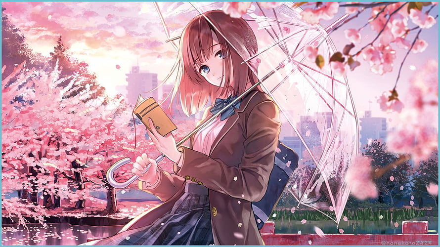 Anime Girl with Transparent Umbrella and Book Under Cherry Blossoms HD wallpaper