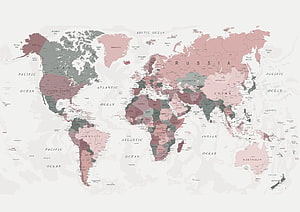 Muted Pink and Green World Map with Country Borders and Ocean Labels HD wallpaper