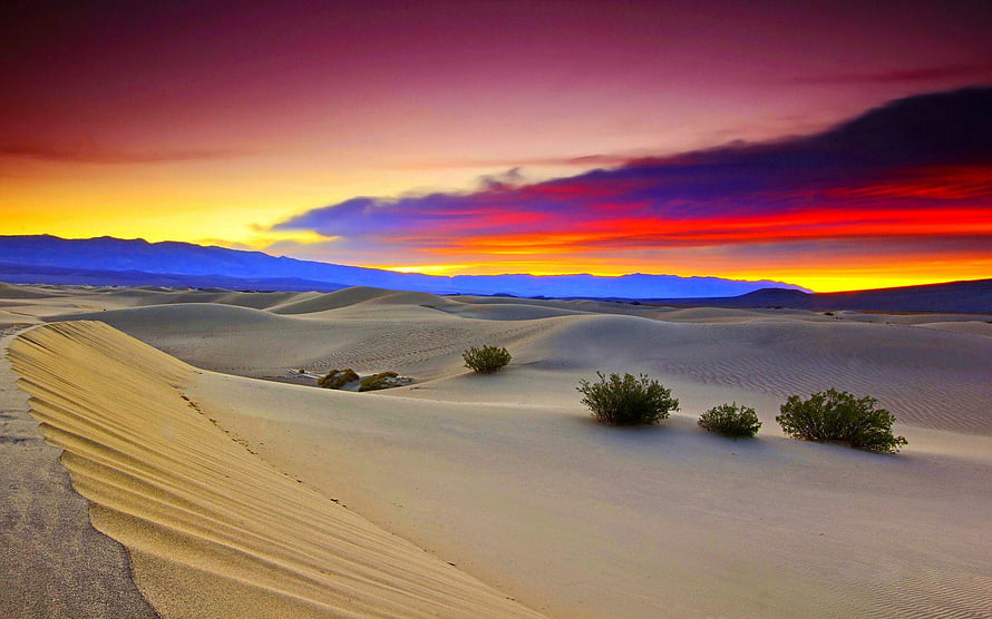 Vibrant desert sunset over rolling sand dunes with distant blue mountains and scattered shrubs HD wallpaper