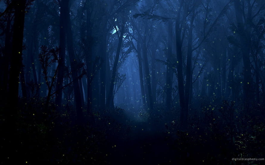 Mystical Night Forest with Fireflies and Moonlight HD wallpaper