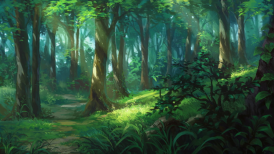 Sunlit Path Through Dense Anime Forest with Lush Green Foliage and Tall Trees HD wallpaper