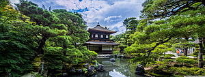 Traditional Japanese Garden with Pond, Pine Trees, and Historic Pavilion HD wallpaper