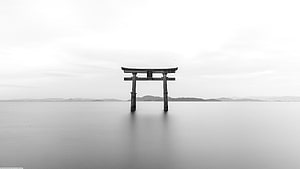 Minimalist Black and White Torii Gate Standing in Calm Water HD wallpaper