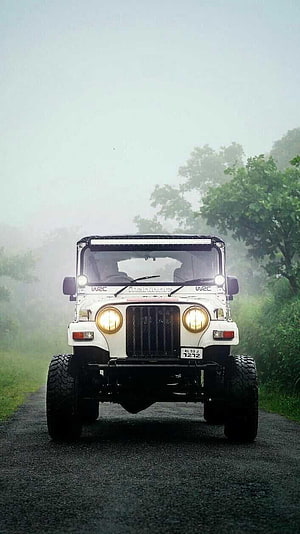 White Mahindra Thar Off-Road SUV on a Misty Forest Road HD phone wallpaper