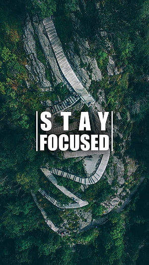 Aerial View of Winding Mountain Staircase Through Dense Forest HD phone wallpaper
