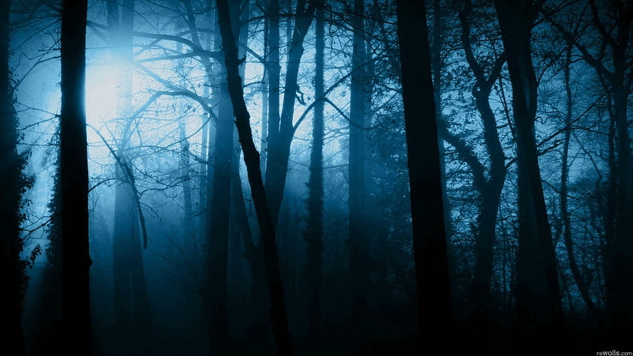 Eerie Moonlit Forest with Misty Blue Atmosphere and Tall Dark Tree Silhouettes HD wallpaper