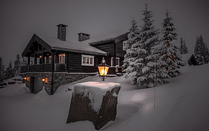 Cozy Log Cabin at Night with Warm Lantern Light and Snowy Evergreens HD wallpaper