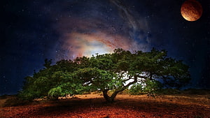 Lone Tree Under a Starry Night Sky with a Red Planet and Nebula HD wallpaper