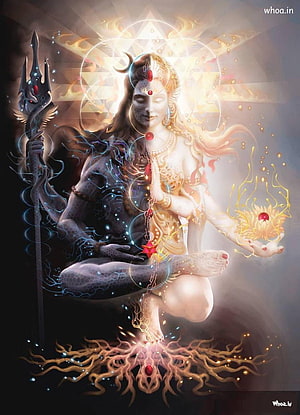 Lord Shiva Dual Nature Meditation Artwork with Trishul and Lotus HD phone wallpaper