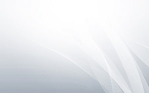 Minimalist White and Light Grey Abstract Background with Subtle Flowing Lines HD wallpaper