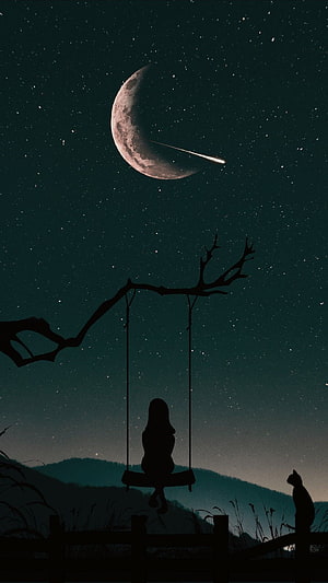 Silhouette of a girl on a tree swing under a crescent moon and starry night sky HD phone wallpaper