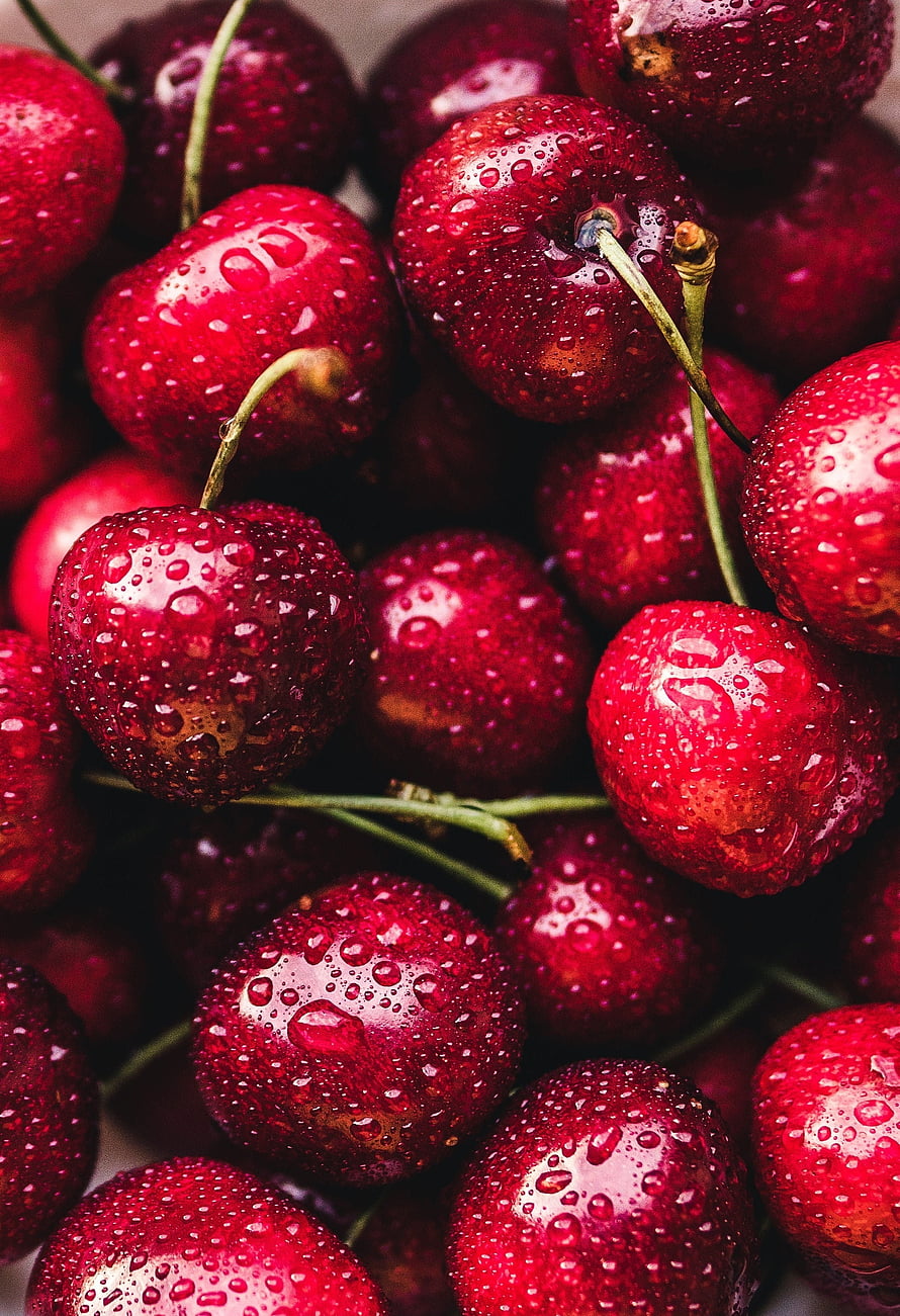 Glossy Red Cherries With Water Droplets In A Fresh Close-Up Macro Shot HD phone wallpaper