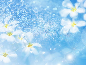 Ethereal Blue Floral Wedding Background with Soft White Blossoms and Sparkling Bokeh HD wallpaper