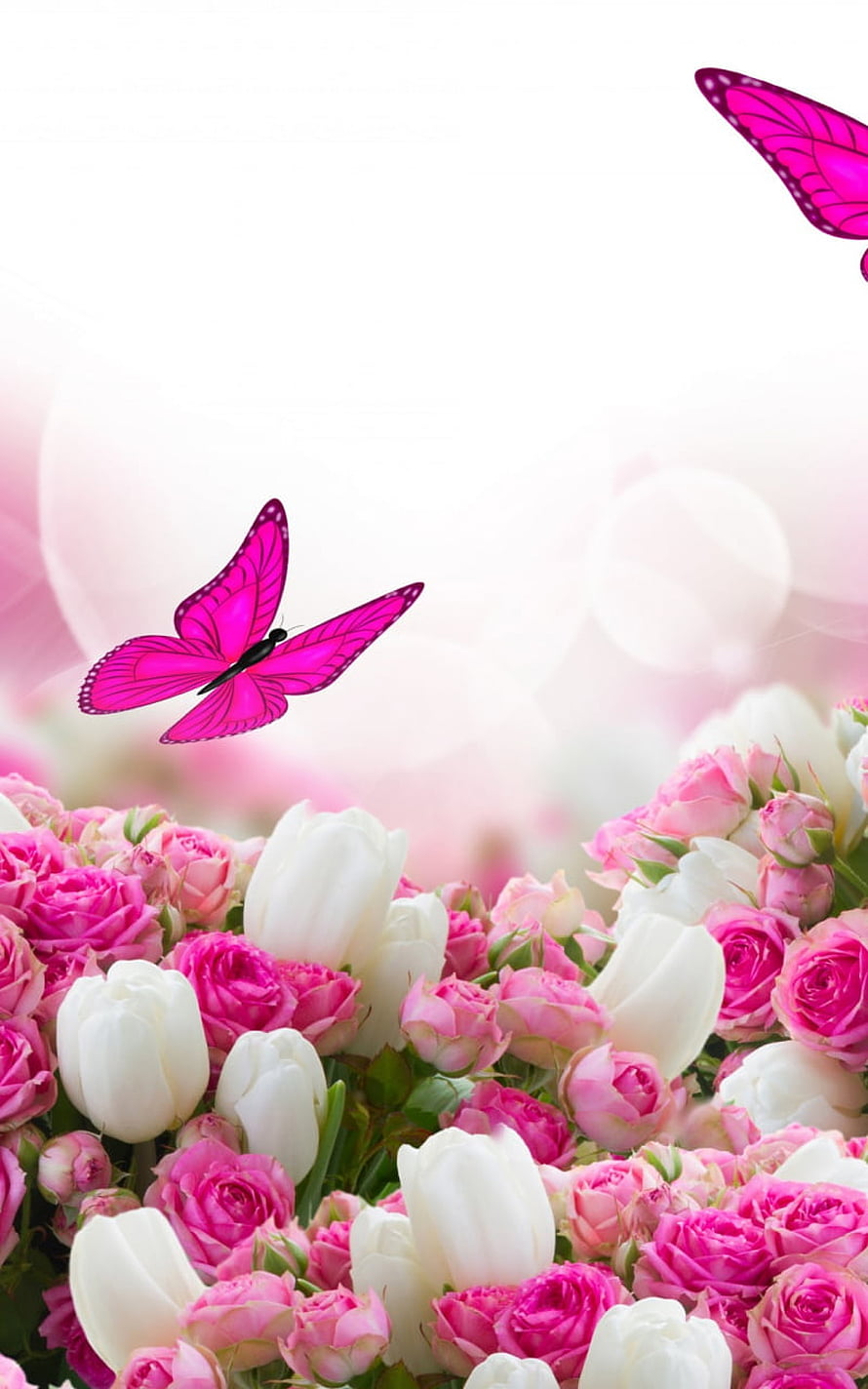 Pink Roses and White Tulips with Vibrant Butterfly in Soft Light HD phone wallpaper