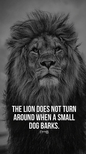 Black and White Lion Portrait with Motivational Quote About Strength and Focus HD phone wallpaper