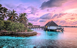 Overwater Bungalows at Sunset with Turquoise Lagoon and Palm Trees HD wallpaper