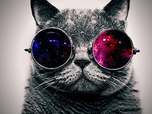 Cool Cat Wearing Galaxy Themed Round Glasses with Cosmic Nebula Lenses HD wallpaper
