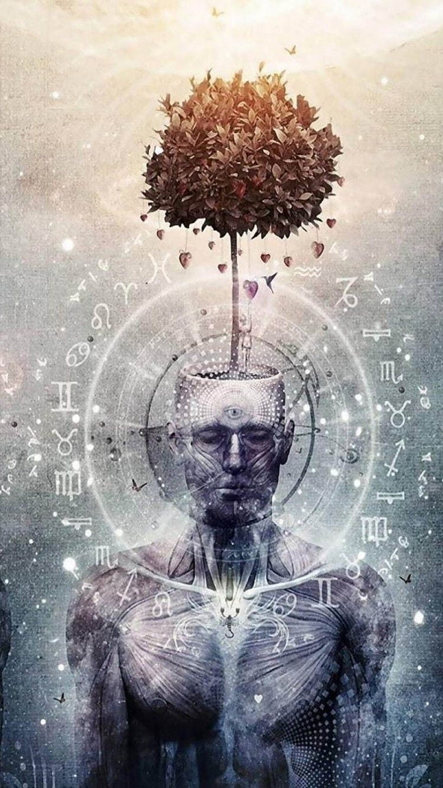 Surreal Spiritual Human Figure with Tree Growing from Head and Zodiac Symbols HD phone wallpaper