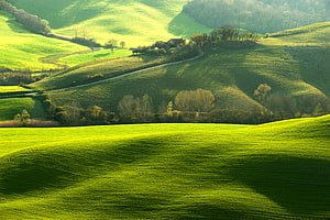 Rolling Green Hills and Pastoral Landscape with Winding Country Road HD wallpaper