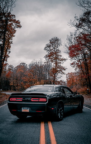 Black Dodge Challenger on a Two-Lane Road Through Autumn Forest Under Overcast Sky HD phone wallpaper
