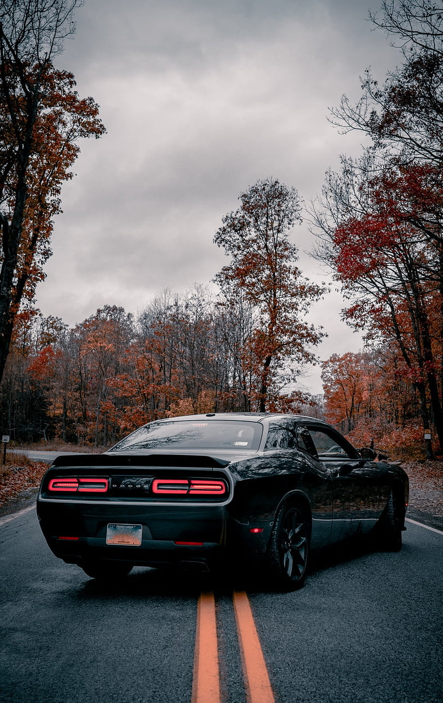 Black Dodge Challenger on a Two-Lane Road Through Autumn Forest Under Overcast Sky HD phone wallpaper