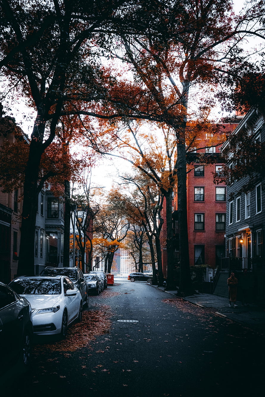 Moody Autumn Street Scene with Parked Cars and Vibrant Foliage in a Residential Neighborhood HD phone wallpaper