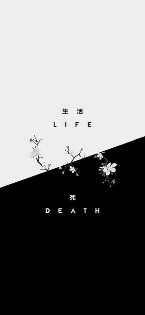 Minimalist Black and White Life and Death Concept with Delicate Floral Branches HD phone wallpaper