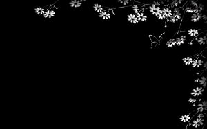 Monochrome Floral Border with Butterfly on Black Background HD wallpaper