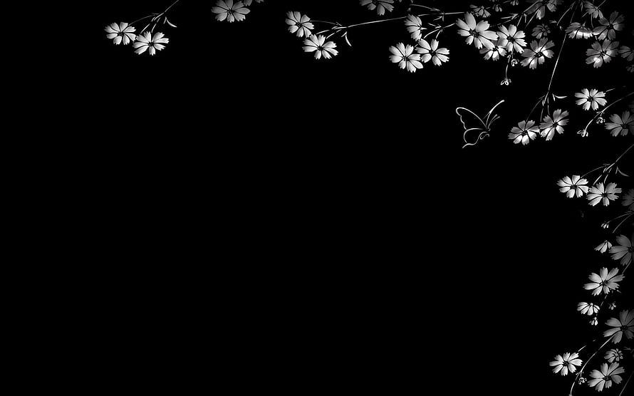 Monochrome Floral Border with Butterfly on Black Background HD wallpaper