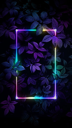 Neon Rectangle Frame Over Dark Purple Leaves and Foliage HD phone wallpaper