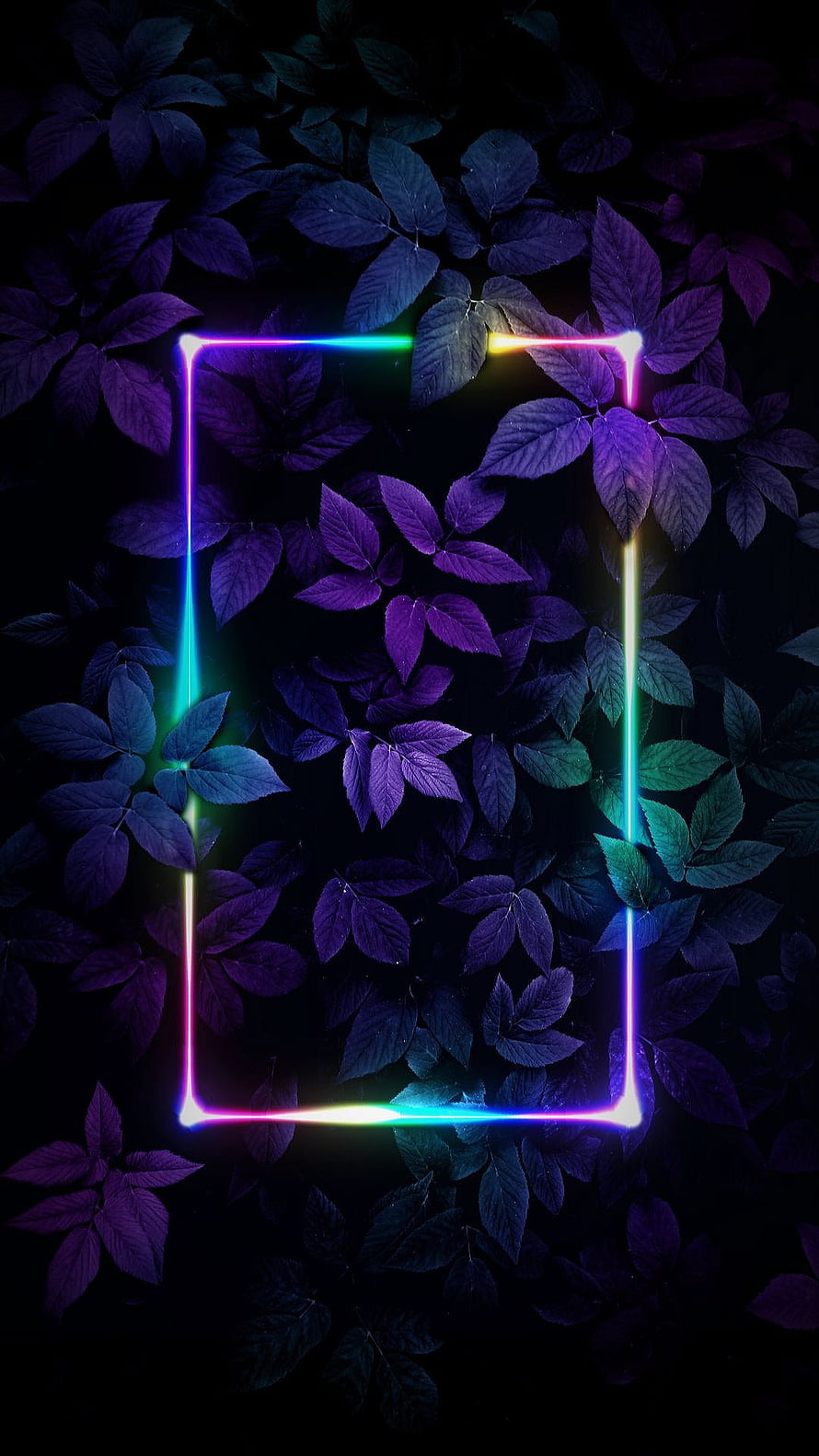 Neon Rectangle Frame Over Dark Purple Leaves and Foliage HD phone wallpaper