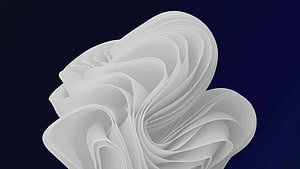 Windows 11 Default Abstract Sculpture Wallpaper with Flowing White Forms on Dark Blue Background HD wallpaper