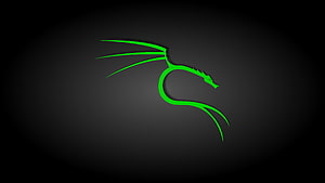 Kali Linux Green Dragon Logo on Dark Background HD wallpaper